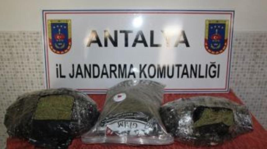 Narkotik K&ouml;peği "&ccedil;ıtır"dan Uyuşturucuya Ge&ccedil;it Yok