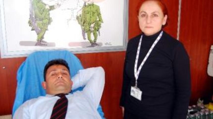 Hebatit B Taşıyıcıları Yaygın