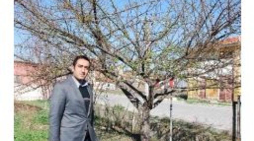 Meyve Ağa&ccedil;ları Yalancı Bahara Aldandı