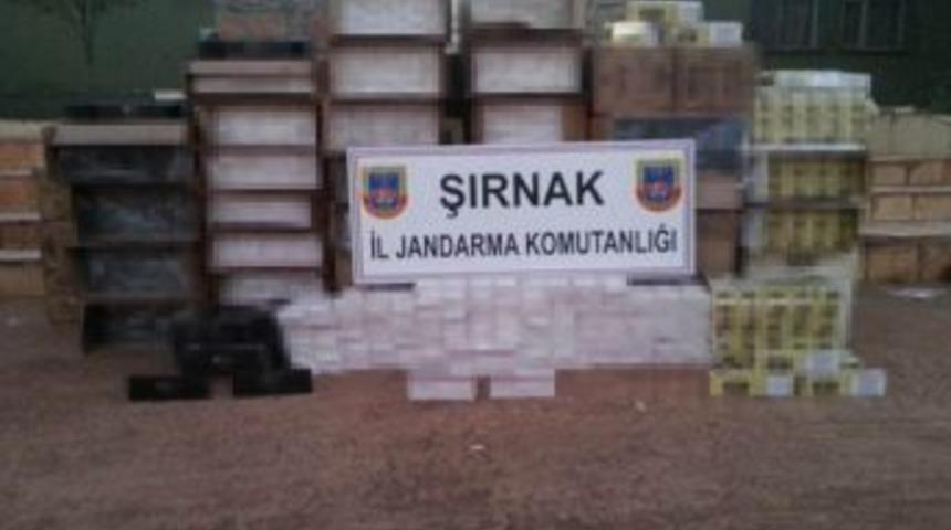 Şırnak'ta 2013 Yılında 1 Milyon 775 Bin Paket Ka&ccedil;ak Sigara Ele Ge&ccedil;irildi