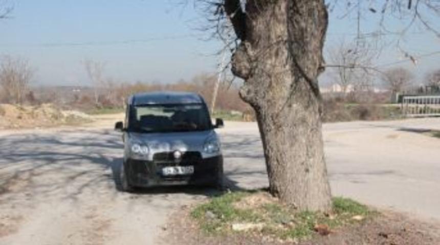 Bu Ağa&ccedil; S&uuml;r&uuml;c&uuml;leri Korkutuyor