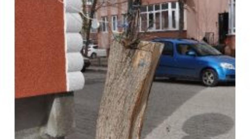 &Ccedil;ekmeyen Tv Antenine İlgin&ccedil; &Ccedil;&ouml;z&uuml;m