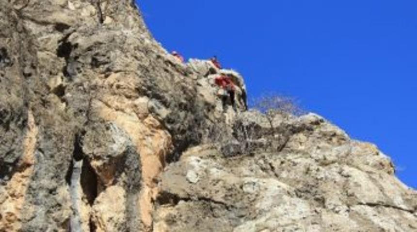 Akut'tan Ke&ccedil;i Kurtarma Operasyonu