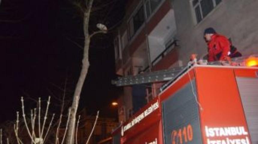 Tuzla&rsquo;da Kedi Kurtarma Operasyonu
