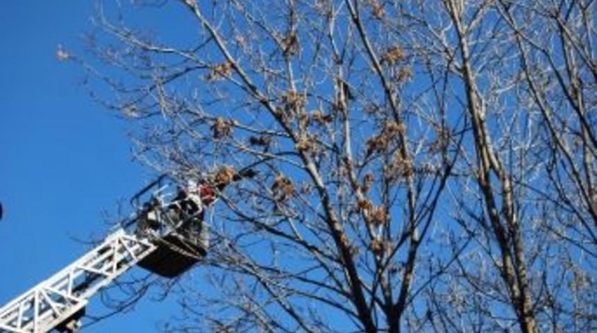 Malatya&rsquo;da Karga Kurtarma Operasyonu