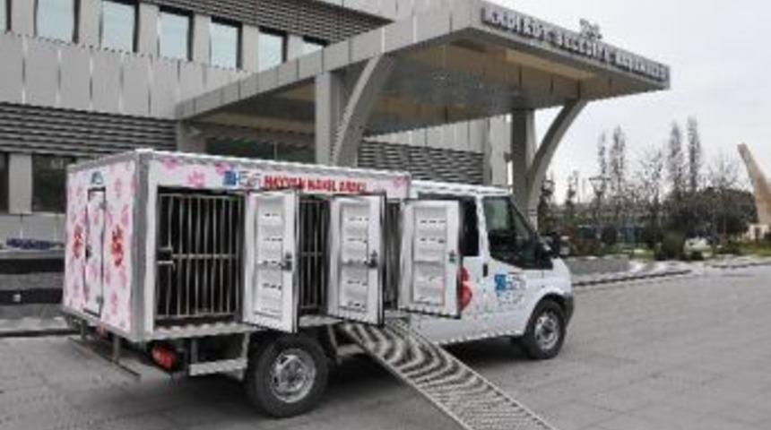 Sokak Hayvanlarına L&uuml;ks Nakil Aracı