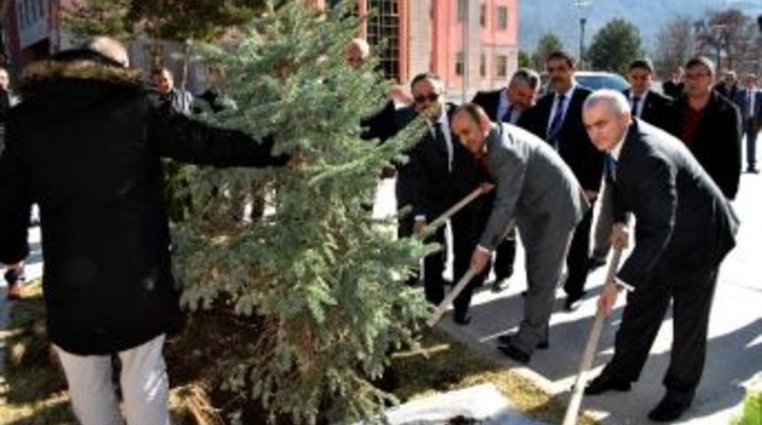 Amasya Obm &Uuml;niversiteleri Ağa&ccedil;landıracak