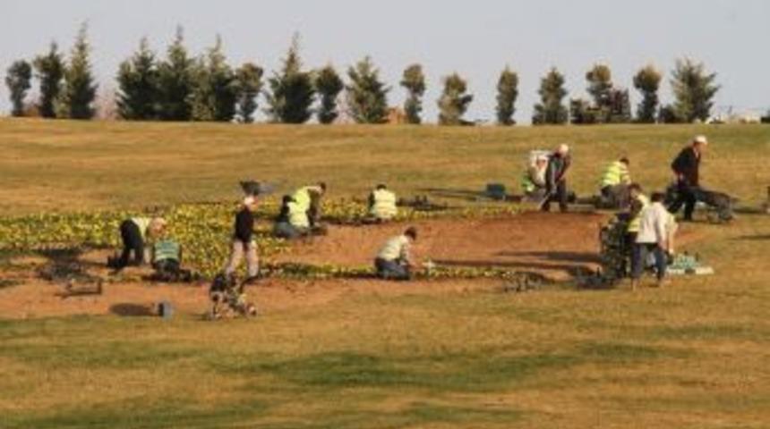 Denizli&rsquo;de &Ccedil;i&ccedil;eklendirme &Ccedil;alışmaları Devam Ediyor