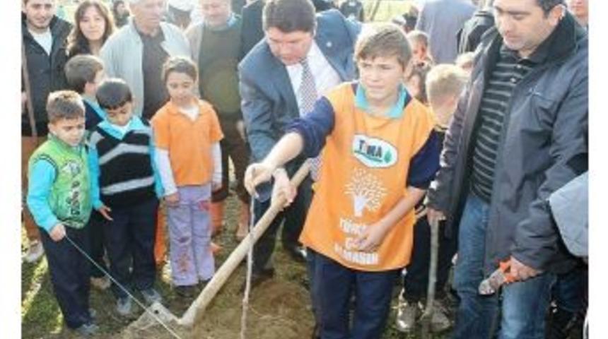 Bartın&rsquo;a 10 Yılda 10 Bin Fidan Dikildi