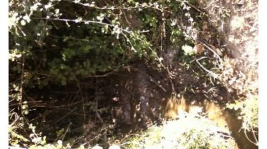 Devrek&rsquo;in &Ccedil;olakpehlivan K&ouml;y&uuml;nde Kanalizasyon Tepkisi