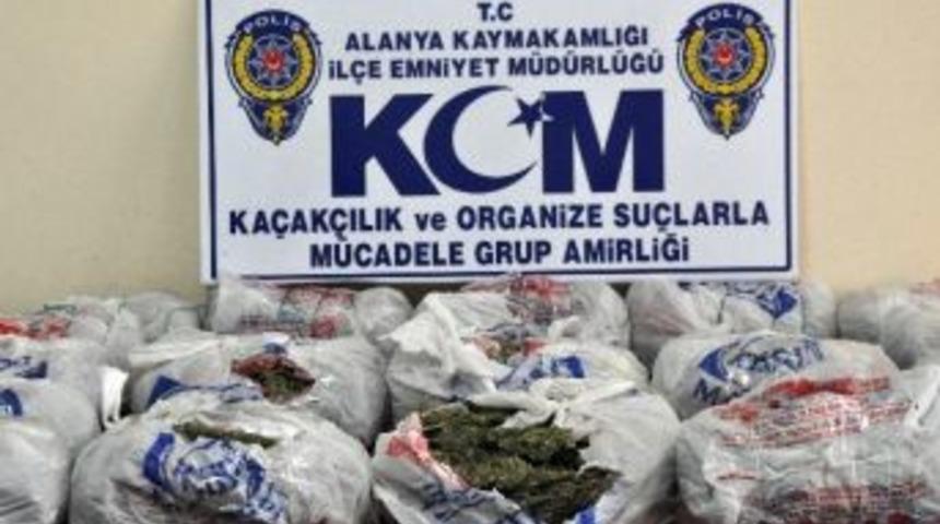Alanya'da Esrar Operasyonu