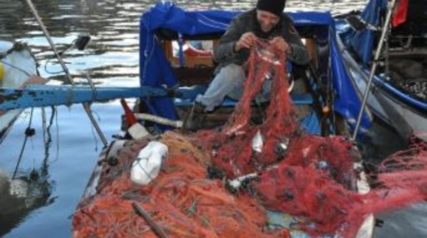 Fo&ccedil;alı Balık&ccedil;ıların Y&uuml;z&uuml; &Ccedil;iftlik Balığı İle G&uuml;ld&uuml;