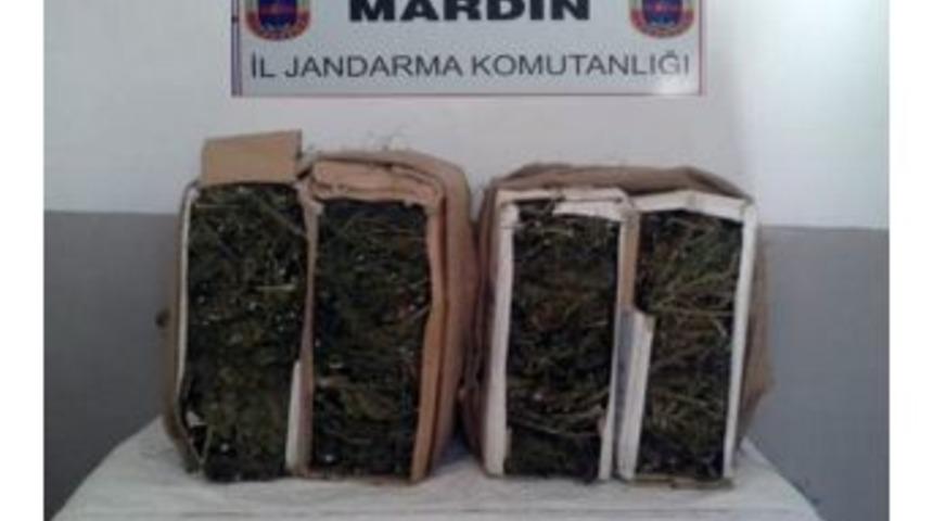 Suriye&rsquo;den T&uuml;rkiye&rsquo;ye Esrar Getirmeye &Ccedil;alışan 2 Kişi Jandarma Engeline Takıldı