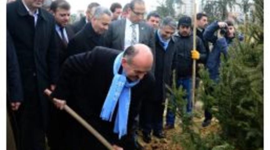 Bakan M&uuml;ezzinoğlu, Yeşil Vadi'ye Fidan Dikti