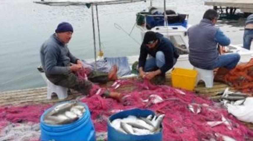 (&ouml;zel Haber)- &Uuml;nl&uuml;lerin Plajı Balık&ccedil;ılara Ve Martılara Kaldı