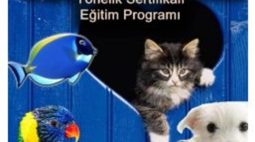 Ev Ve S&uuml;s Hayvanları İ&ccedil;in Sertifikalı Eğitim
