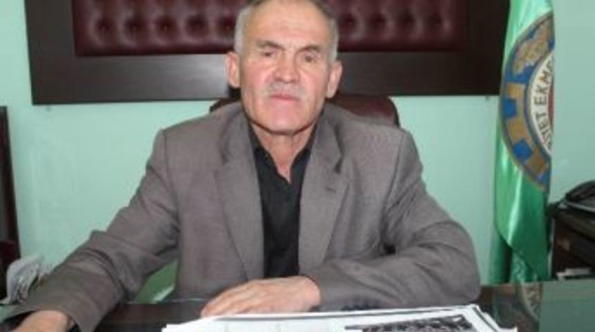 Beyşehir&rsquo;de Son Yağışlar &Ccedil;ift&ccedil;inin Umutlarını Yeşertti