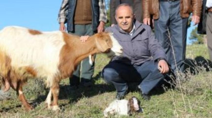 Başkan Akyol, Ziyaretlerine Son S&uuml;rat Devam Ediyor