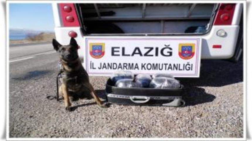 &Ccedil;ivi, Marifetiyle Hayran Bıraktı!