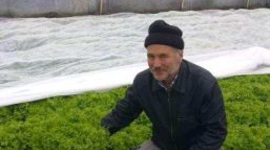 (&ouml;zel Haber) &Uuml;reticilerin Y&uuml;z&uuml; Seralarla G&uuml;l&uuml;yor