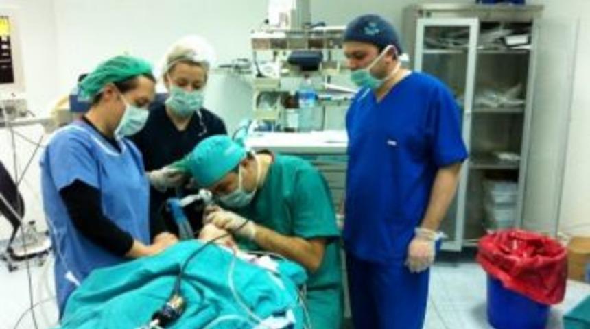 Yozgat&rsquo;ta Bir Yaşındaki Kız &Ccedil;ocuğunun Boğazına Ka&ccedil;an Mısır Tanesi &Ccedil;ıkartıldı