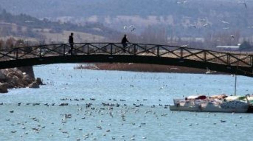 (&ouml;zel Haber) Beyşehir G&ouml;l&uuml; Milli Parkı&rsquo;nda 153 Kuş T&uuml;r&uuml; Yaşıyor