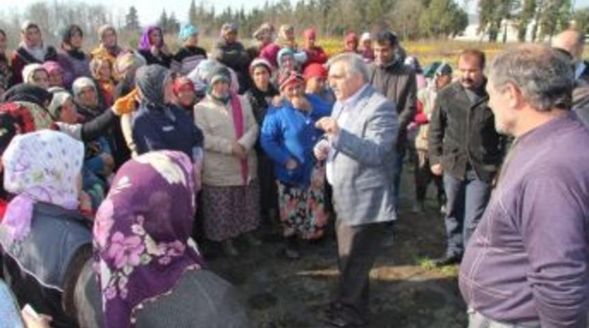 15 Yılda 60 Bin Fidan Dikildi