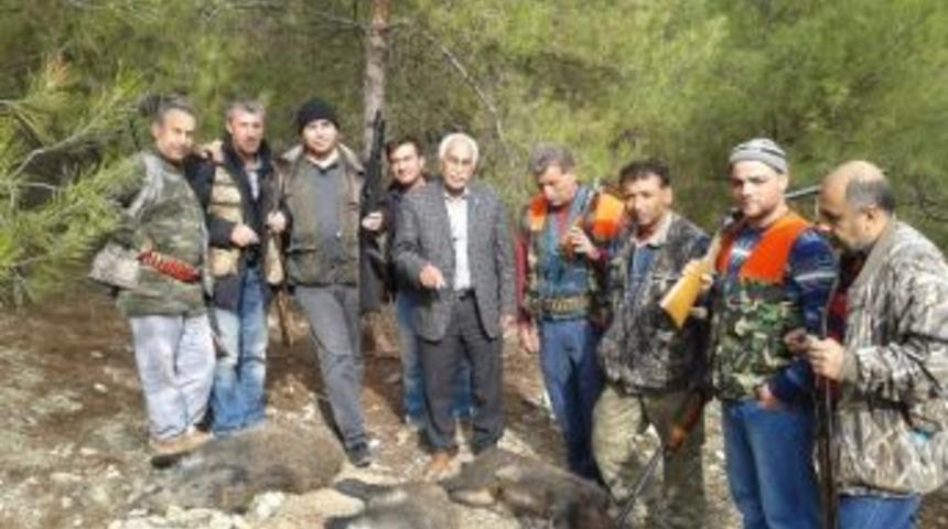 Yaban Domuzuna Karşı S&uuml;rek Avı