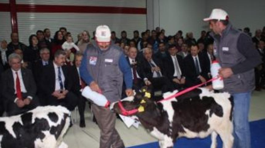 Gapfood Gıda Fuarı Gtb Damgası