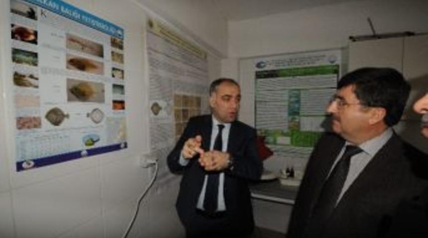 Su &Uuml;r&uuml;nleri Gen Bankası Ve Biyoteknoloji Merkezi Bu Yıl Trabzon&rsquo;da Hayata Ge&ccedil;iriliyor