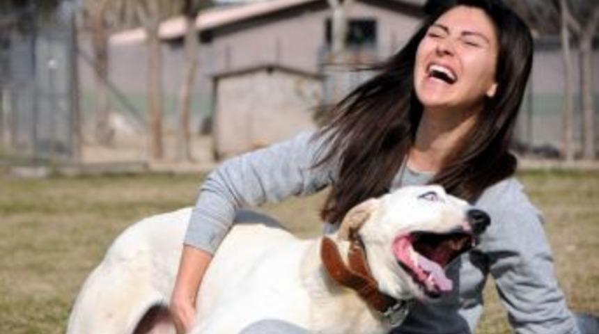 K&ouml;peğe 'haciz'