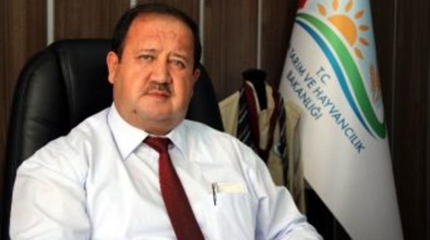 15 Bin Denetim Ve 992 Bin Tl Ceza