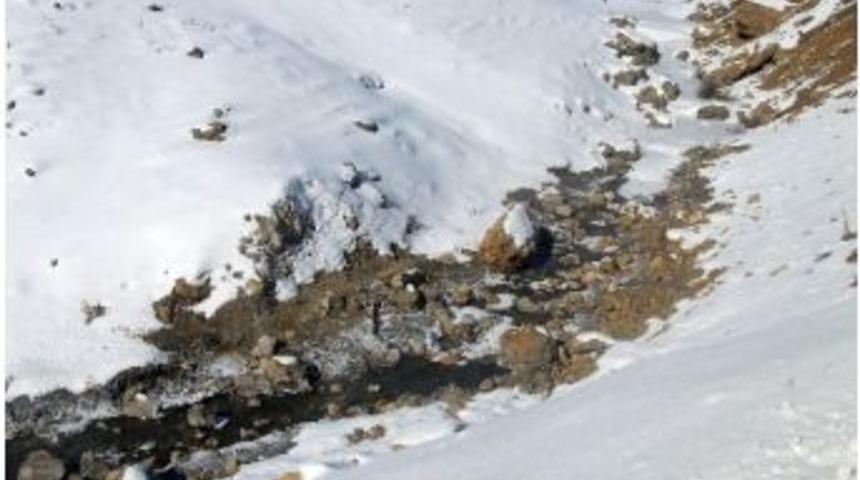 Bu Su Eksi 40 Derecede Dahi Donmuyor