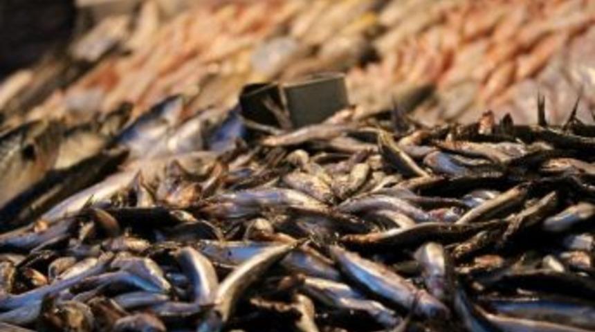 Balık Fiyatları Normale D&ouml;nd&uuml;