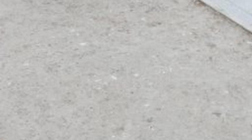 Eski Ortakların Kavgası Kanlı Bitti