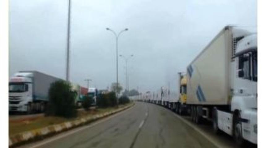 Cilveg&ouml;z&uuml;'nde Uzun Ara&ccedil; Kuyruğu