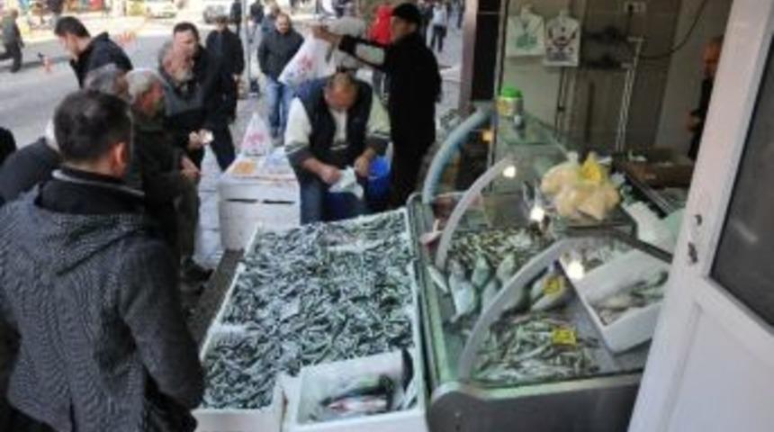 Karadeniz'e Hamsi Geri D&ouml;nd&uuml;