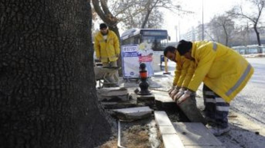 B&uuml;y&uuml;kşehir&rsquo;den 40 Ekiple Kent Estetiği