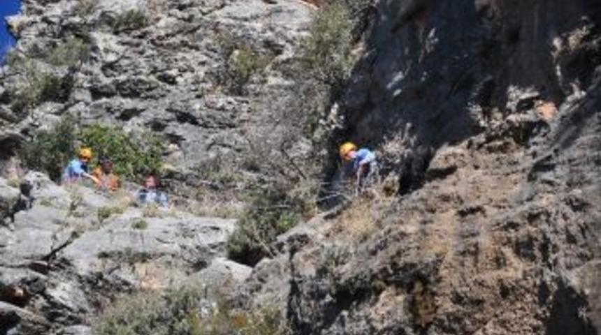Alanya'da Ke&ccedil;i Kurtarma Operasyonu