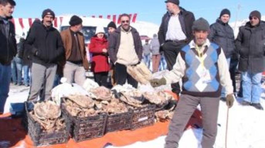 Festivalde Kaz Satışı