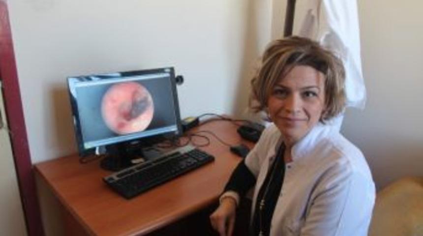 (&ouml;zel Haber) B&ouml;cekler Dinlemede