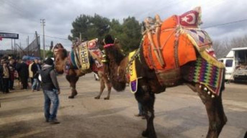 5. Geleneksel Umurbey Deve G&uuml;reşleri Yapıldı