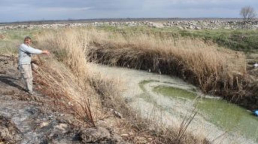 Manyas G&ouml;l&uuml;nde Tehlike