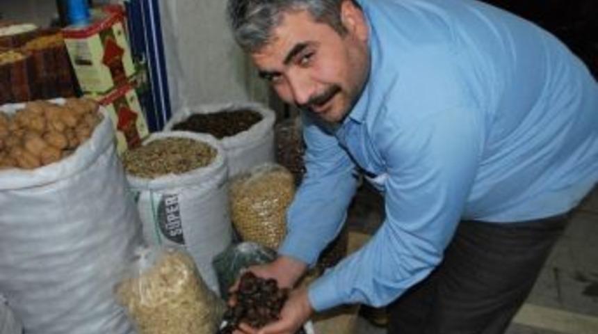 Kestane Teknolojiye Yenik D&uuml;şt&uuml;