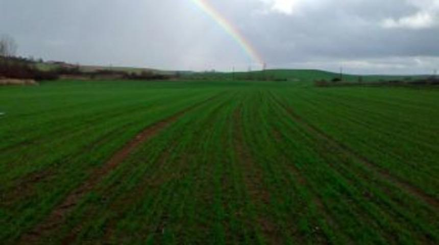 Yağmur Arası G&ouml;kkuşağı