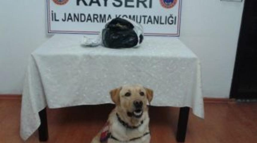 Yolcu Treninde 3.5 Kilo Esrar Ele Ge&ccedil;irildi