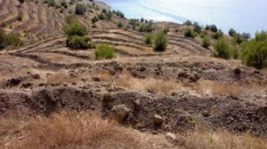 Baraj Havzaları Yeşil Kuşak Ağa&ccedil;landırma &Ccedil;alışmaları