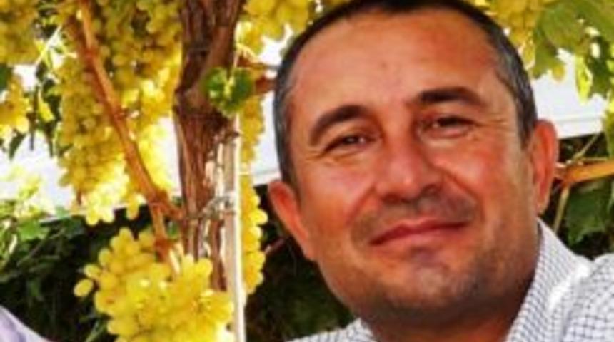 Meyve Ağa&ccedil;ları Ve &Uuml;z&uuml;m Bağları Erken Uyandı