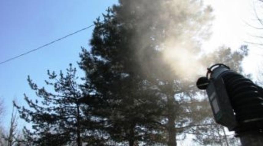 &Ccedil;am Kese B&ouml;ceğine Biyolojik M&uuml;cadele