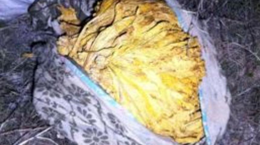 T&uuml;t&uuml;n Hırsızları, &Ccedil;aldıkları T&uuml;t&uuml;nleri Bırakıp Ka&ccedil;tılar